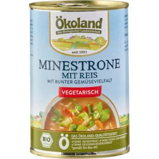 Minestrone mit Reis vegetarisch