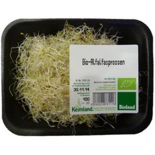 Alfalfasprossen