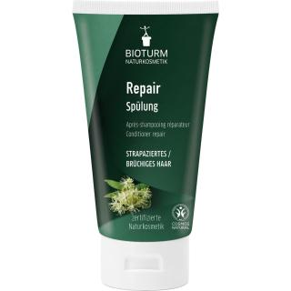 Repair Spülung