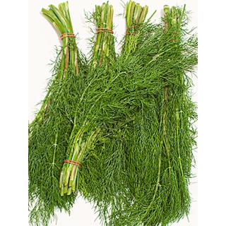 Dill