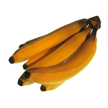 Bananen ´bioladen* fair´
