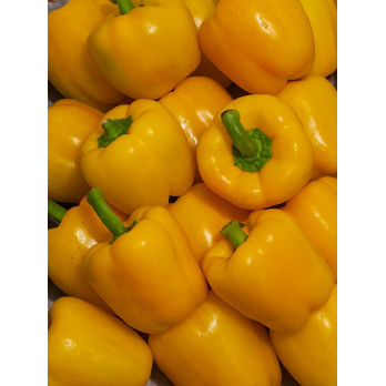 Paprika gelb