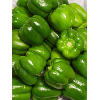 Paprika grün