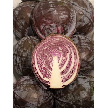 Rotkohl