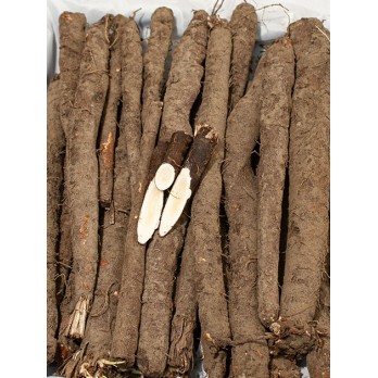 Schwarzwurzeln (Winterspargel)