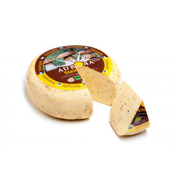 Aurora Gold Gouda Steinpilz