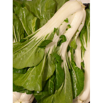 Pak Choy
