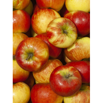 Topaz Apfel