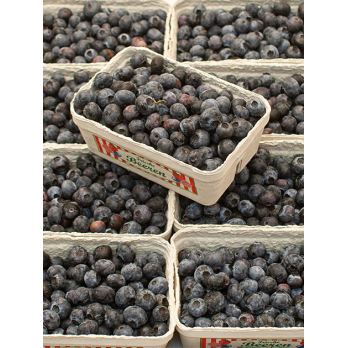 Heidelbeeren Schale