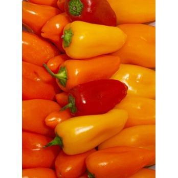 Mini Paprika Mix süss