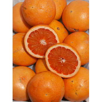 Grapefruit rot