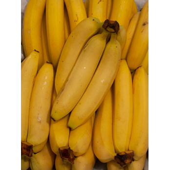 Bananen aus plastikfreier Erzeugung