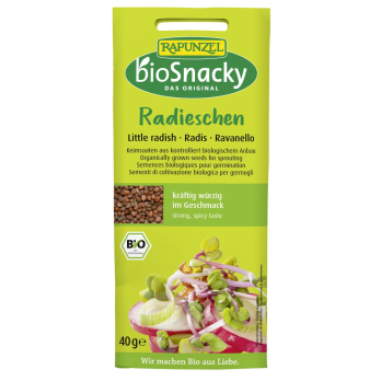 Radieschen