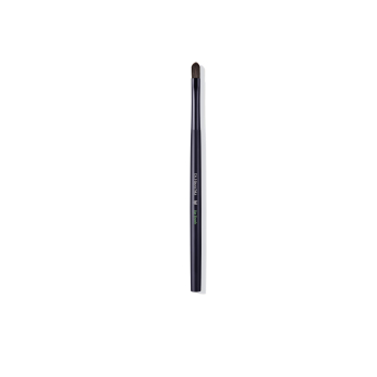 Lip Brush