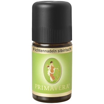 Fichtennadeln sibirisch