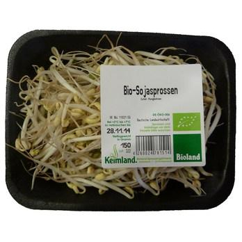 Mungbohnen sprossen (Sojaspro.)