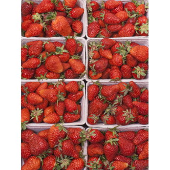 Erdbeeren