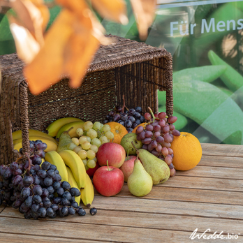 wedde.bio Büro-Obst 30 Portionen