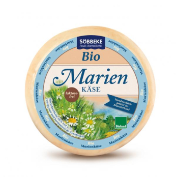 Marienkäse